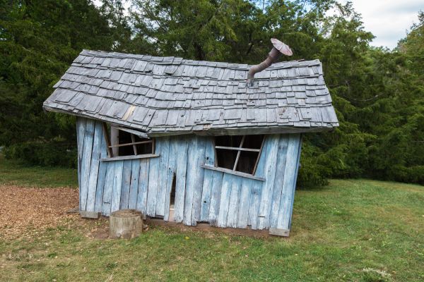 Shed Demolition in Olympia