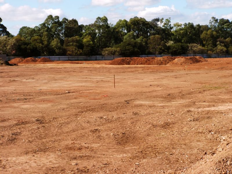 Site Clearing After Demolition